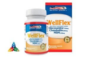 WellFlex