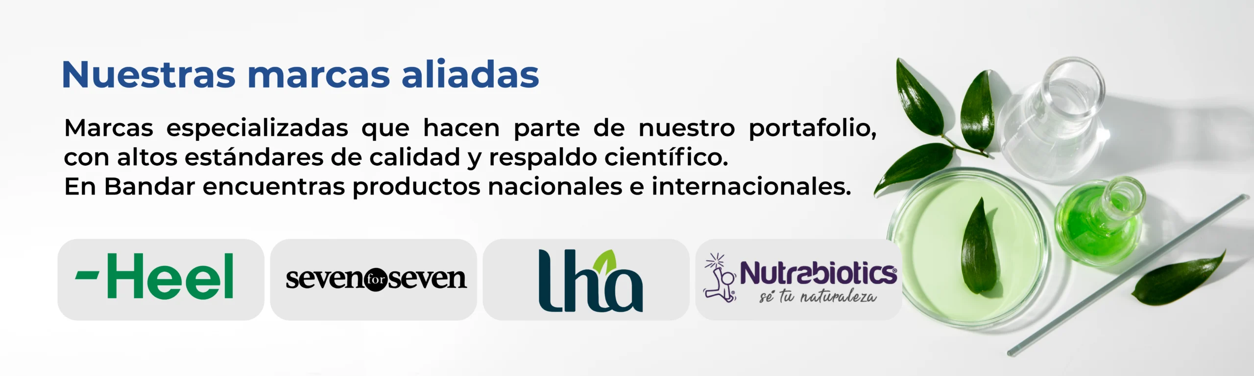 Nuestras marcas aliadas